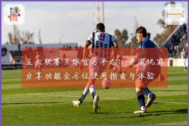 五大联赛买球官方平台:资深玩家分享功能全方位使用指南与体验