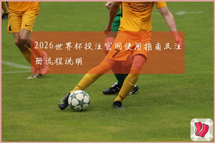 2026世界杯投注官网使用指南及注册流程说明