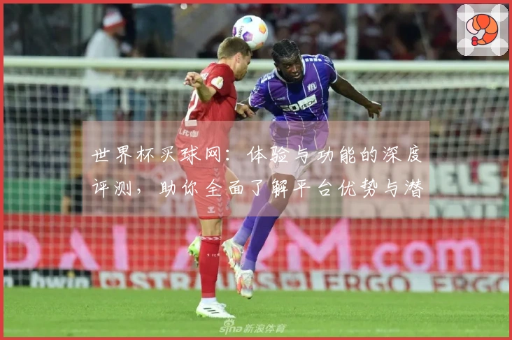 世界杯买球网：体验与功能的深度评测，助你全面了解平台优势与潜在不足