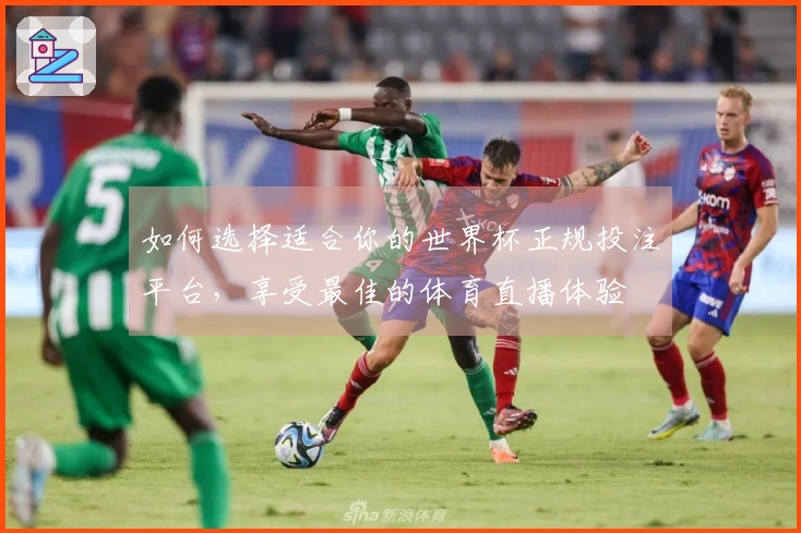 如何选择适合你的世界杯正规投注平台，享受最佳的体育直播体验