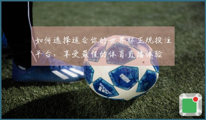 如何选择适合你的世界杯正规投注平台，享受最佳的体育直播体验
