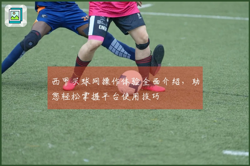 西甲买球网操作体验全面介绍，助您轻松掌握平台使用技巧