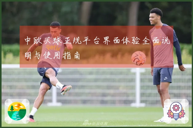 中欧买球正规平台界面体验全面说明与使用指南