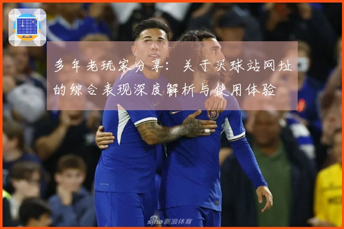 多年老玩家分享：关于买球站网址的综合表现深度解析与使用体验