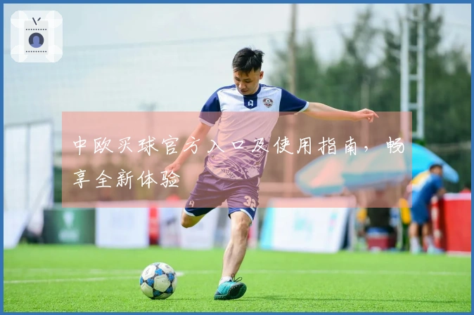 中欧买球官方入口及使用指南，畅享全新体验
