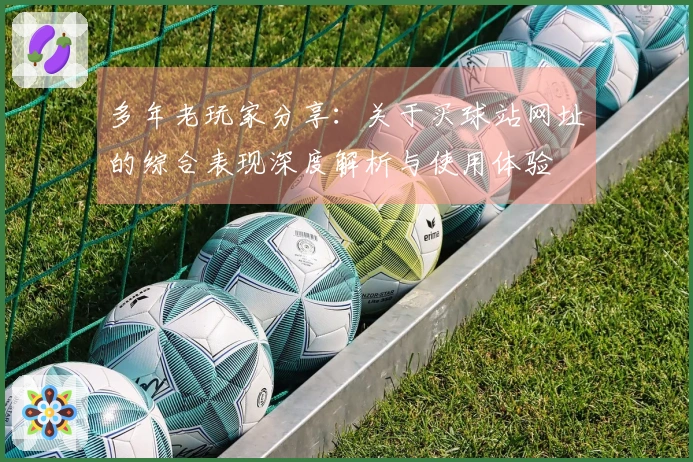 多年老玩家分享：关于买球站网址的综合表现深度解析与使用体验