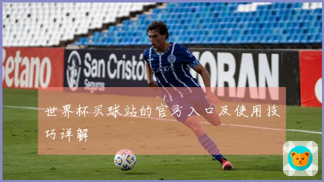 世界杯买球站的官方入口及使用技巧详解