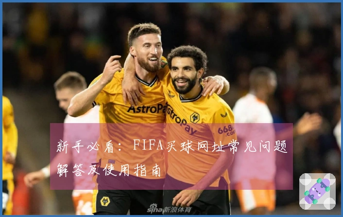 新手必看:FIFA买球网址常见问题解答及使用指南