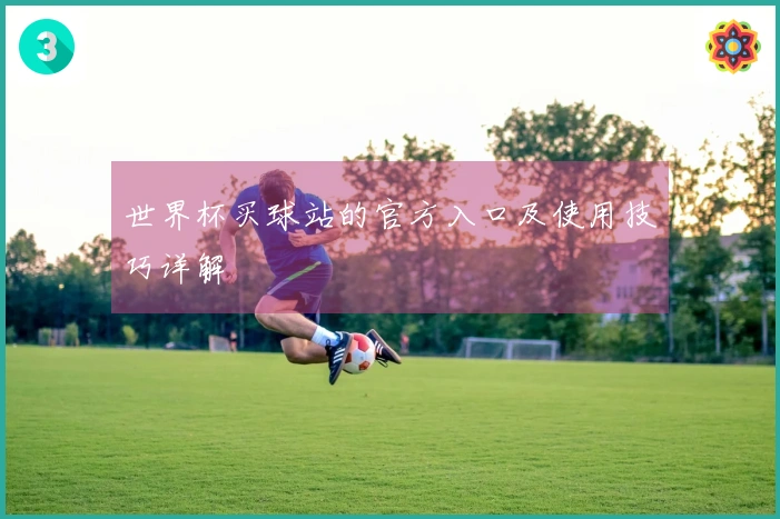 世界杯买球站的官方入口及使用技巧详解