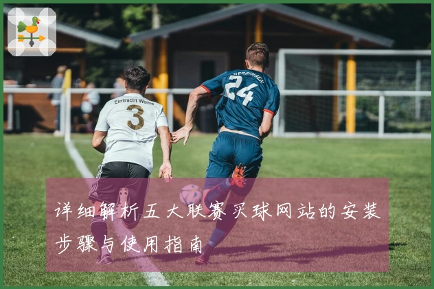 详细解析五大联赛买球网站的安装步骤与使用指南