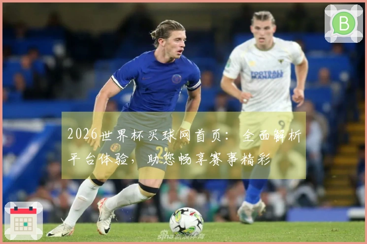 2026世界杯买球网首页：全面解析平台体验，助您畅享赛事精彩